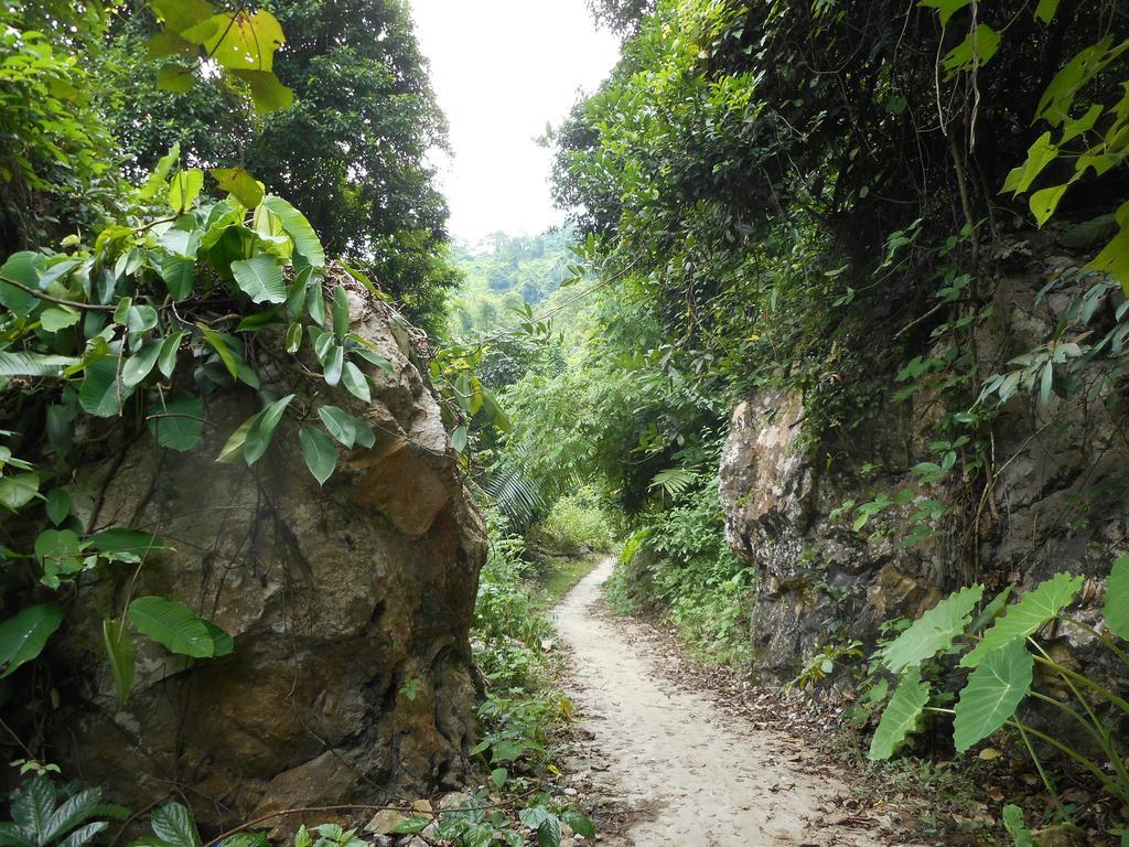 Ba Be Lake Homestay - Quynh Chi ภายนอก รูปภาพ